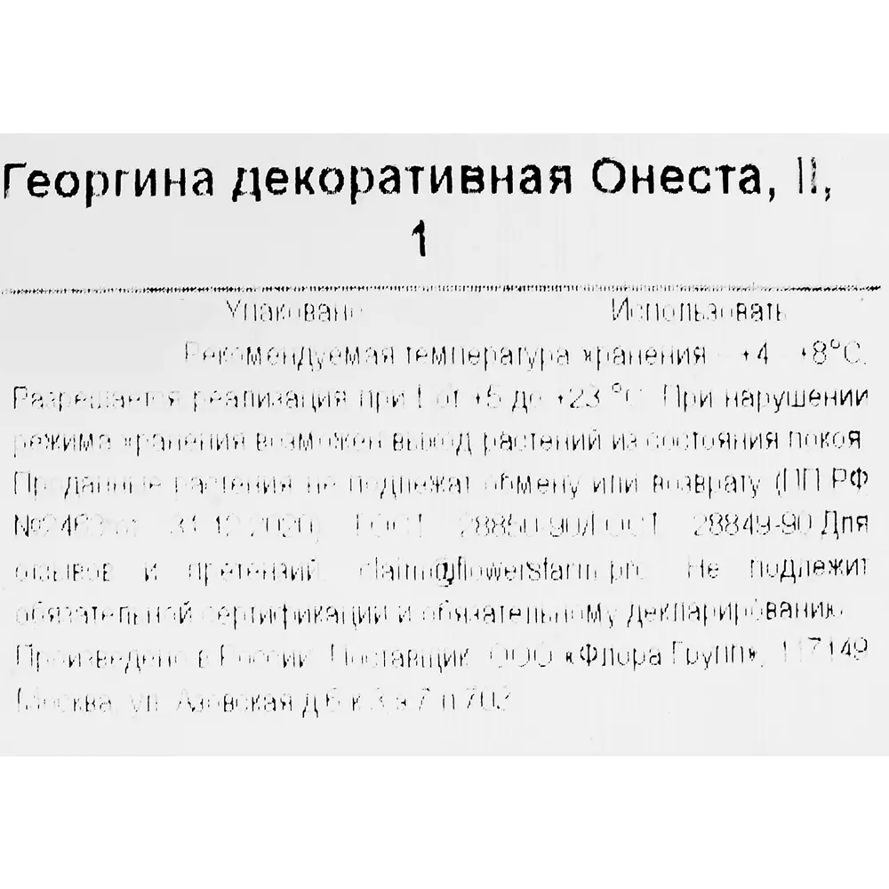Георгина декоративная Онеста 86735803 STLM-2164953 Santreyd  - Вид №2