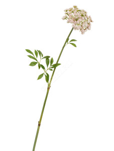 30.0617209PKW Анна Королевская бело-розовая Цветочная коллекция