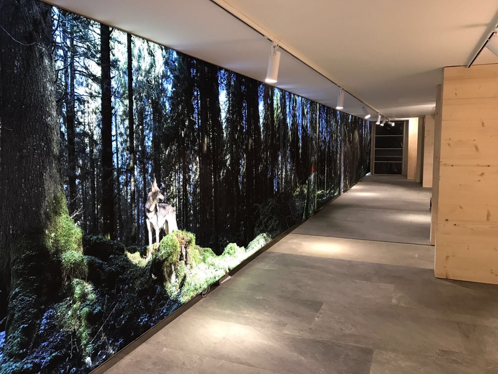 Стена с подсветкой ABS Group PARETI LUMINOSE ARCH-00061679 - Вид №5