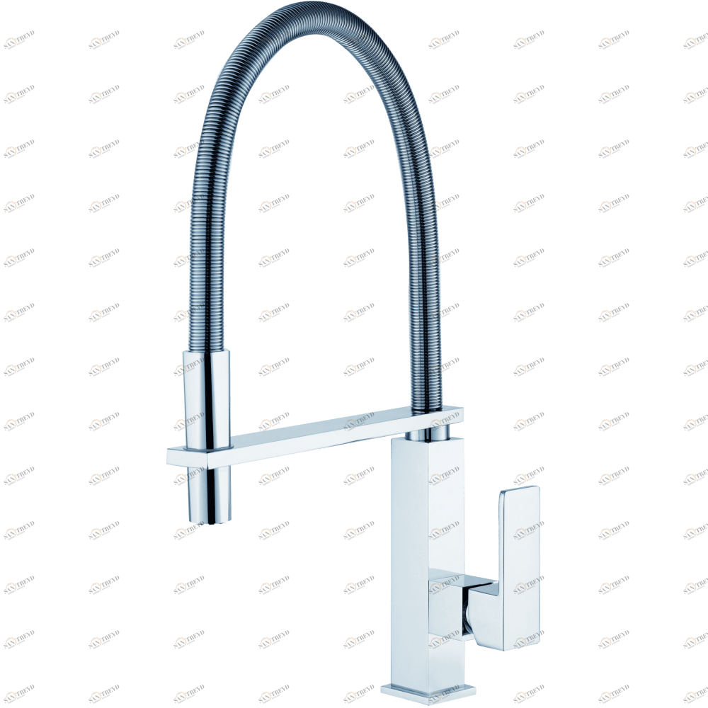 GZ 16037 Смеситель для кухни  Ganzer Хром Ganzer Германия 14012