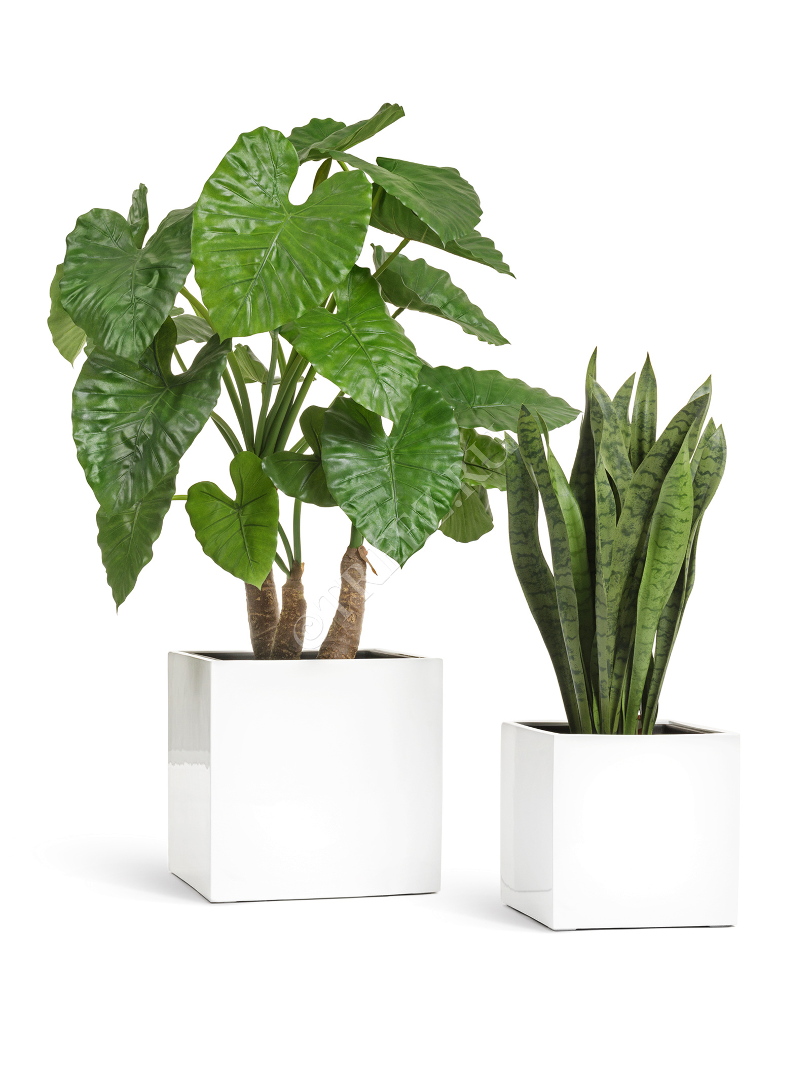 41.3320-05-033-WH-50 Кашпо  Effectory - серия Gloss - Куб - Белый глянцевый лак Цветочная коллекция  - Вид №4