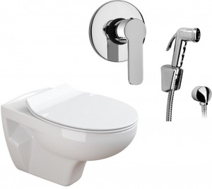 N555661arona Подвесной унитаз настенный Белый Paini ARONA Италия;Португалия