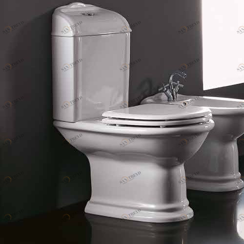 24002 Компакт унитаз с бачком Зеленый Althea Ceramica Сlassic Rose Италия