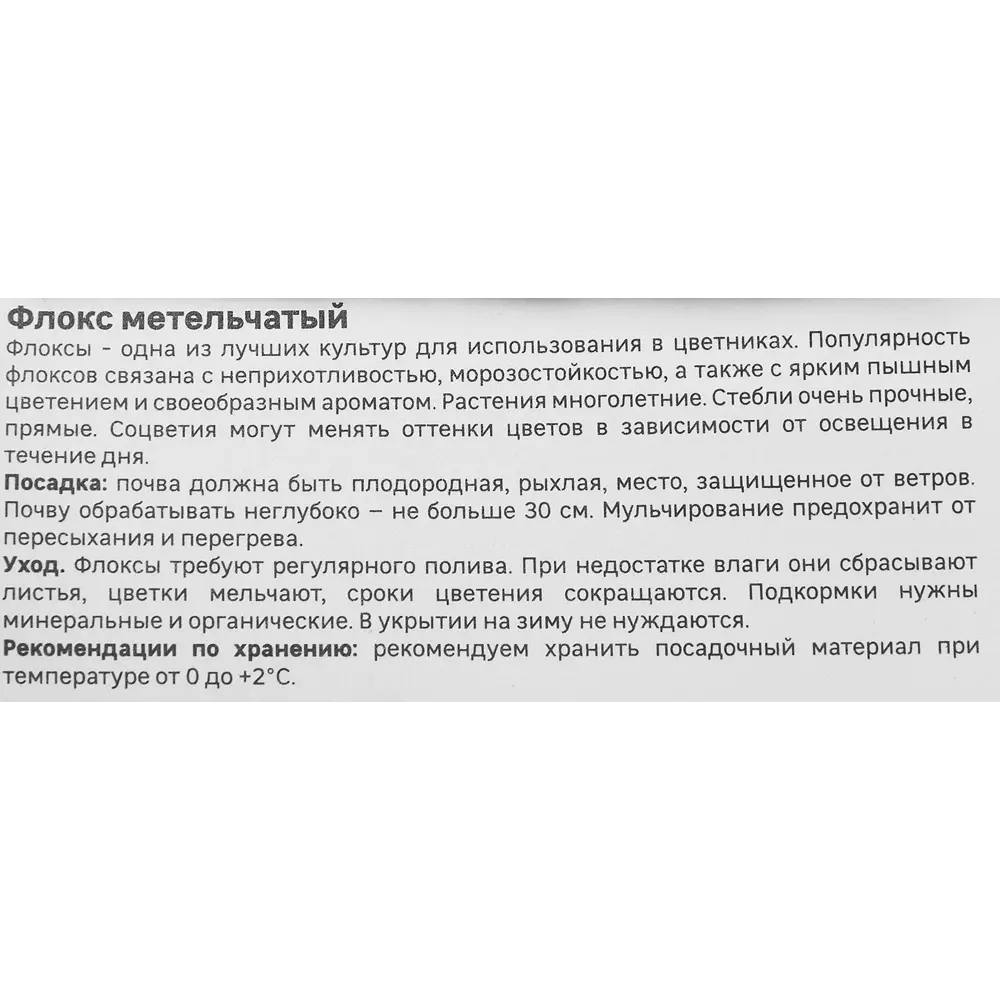Флокс Geolia метельчатый Далила 86408679 STLM-2132423  - Вид №2