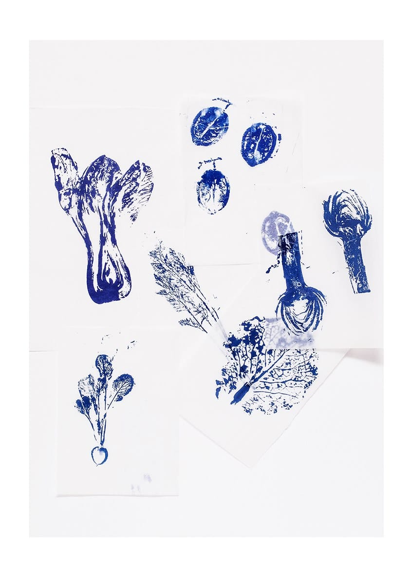 Фарфоровая десертная тарелка Non Sans Raison Végétal ARCH-00004686 - Вид №1