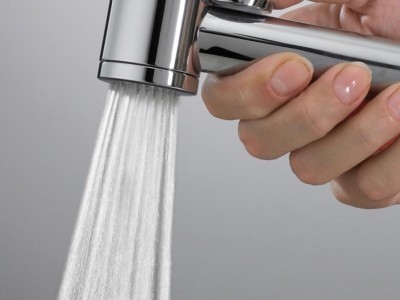 C98001 Гигиеническая лейка Paloma BOSSINI  - Вид №2