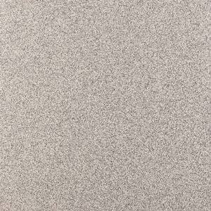 Керамогранит Standard ST 03 40x40 Неполированный