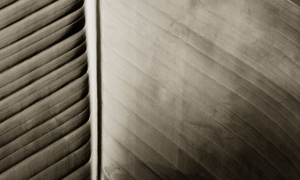 Обои с рисунком N.O.W. Edizioni MUSA ARCH-00129451 - Вид №4