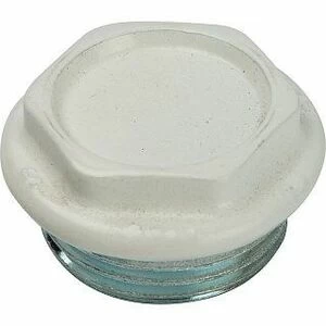 Пробка глухая с прокладкой 3/4" SN Global (левый)