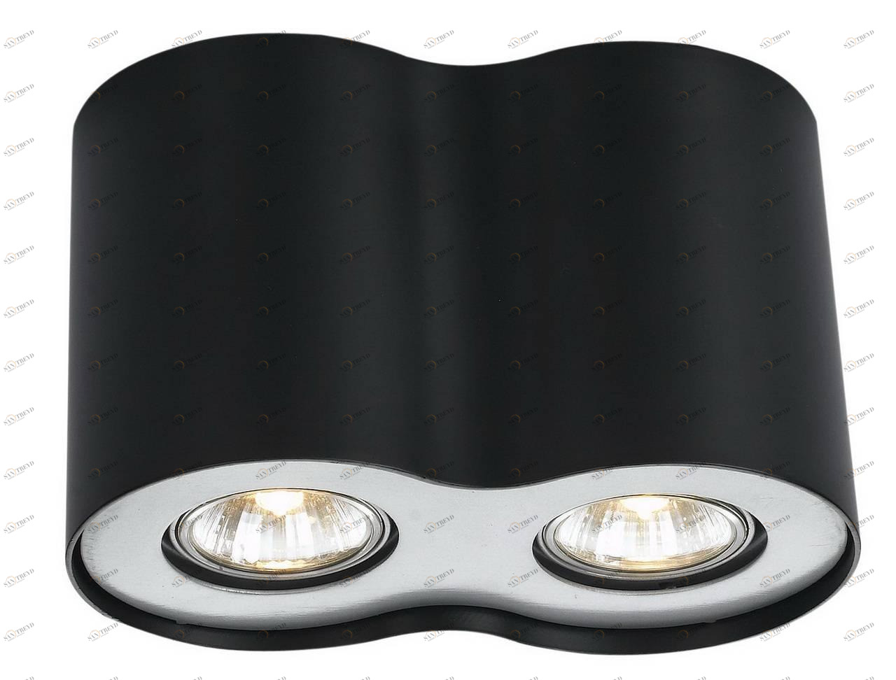 Потолочный светильник Arte Lamp Falcon A5633PL-2BK ARTE LAMP FALCON 082579 Черный