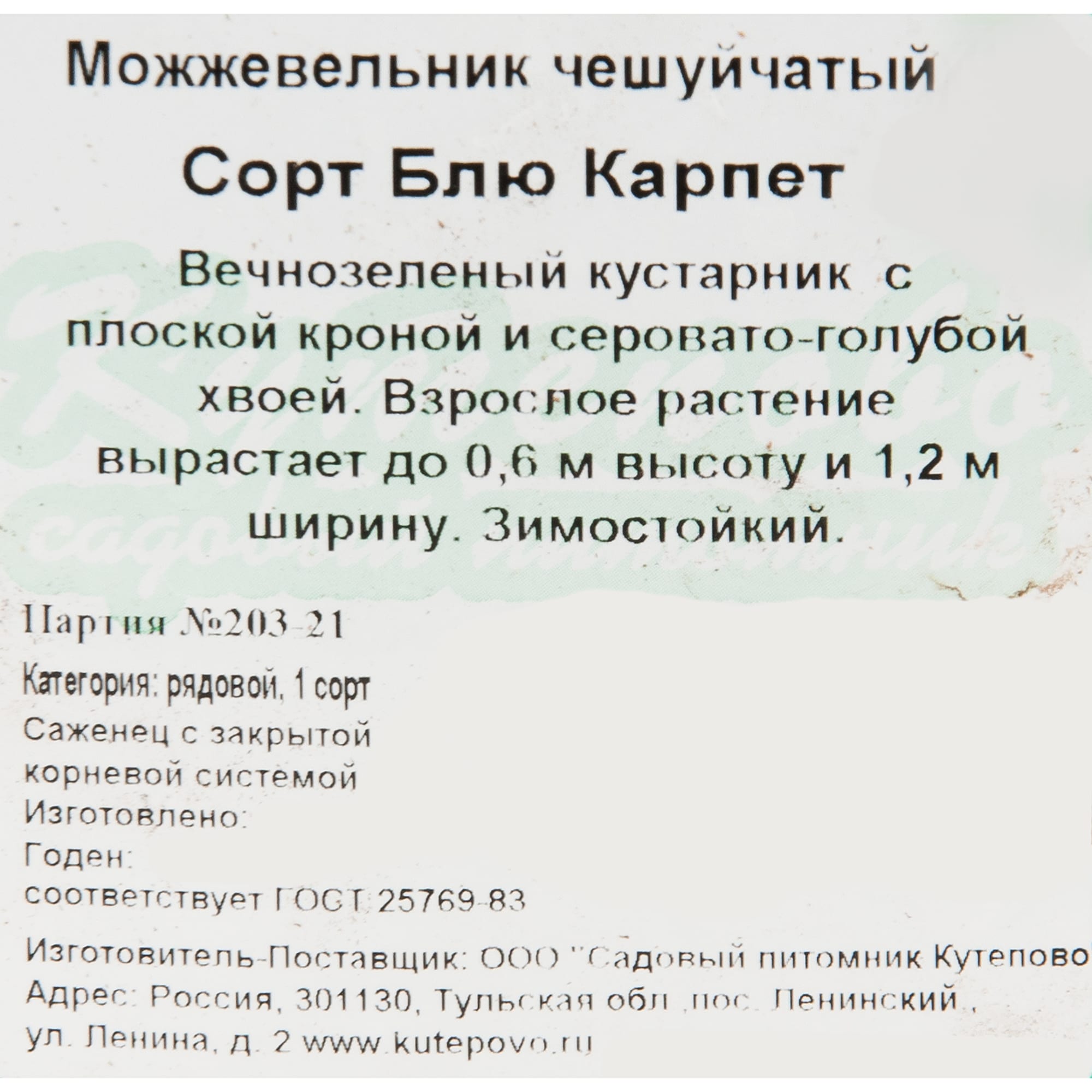 82596781 Можжевельник чешуйчатый «Блю Карпет» 15x30 см Santreyd  - Вид №1