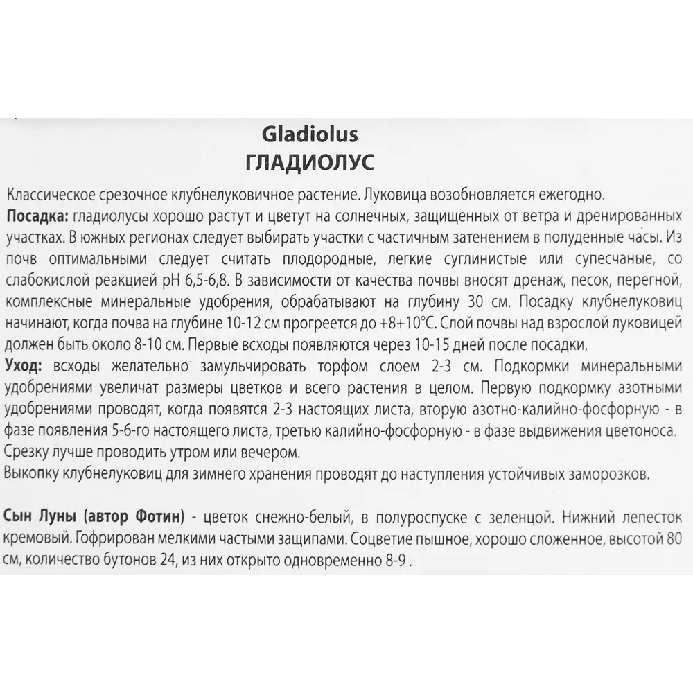 Гладиолус Сын луны, 3 шт 86410003 STLM-2141809 ПОИСК  - Вид №2