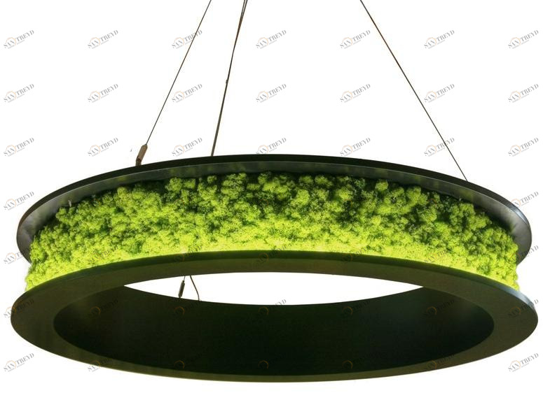 Freund GmbH Подвесной светильник с мхом sun-id-1504565