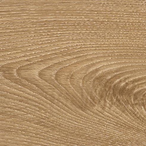 Ламинат Kaindl Дуб Брионе 37345 AV 2600100528 - Вид №3