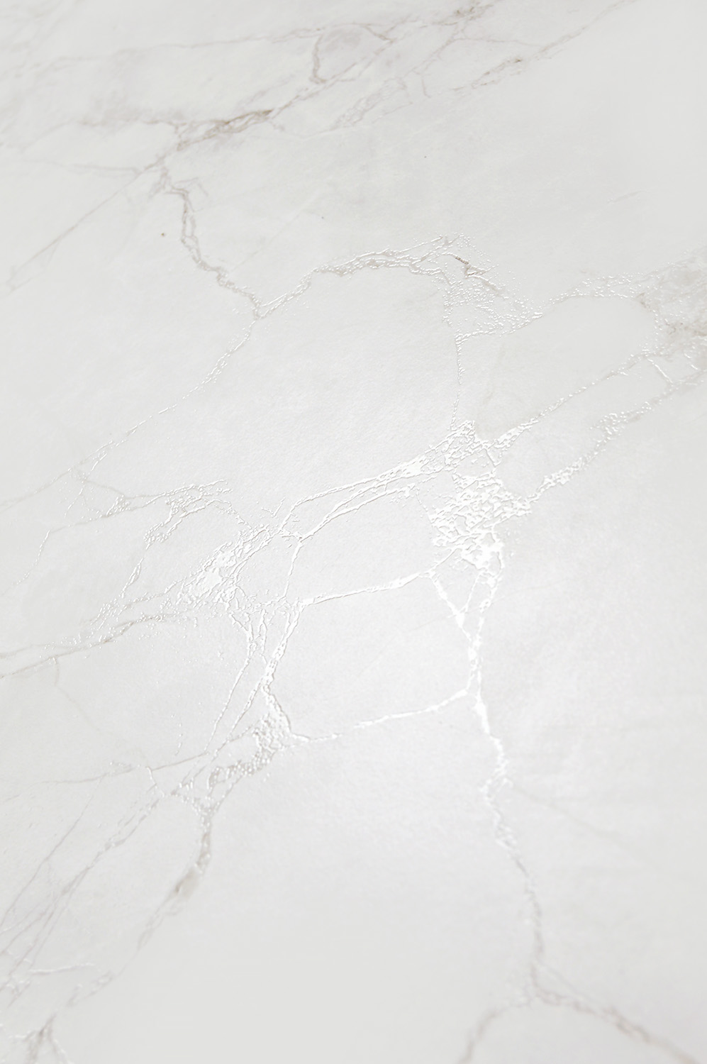 ARCTIC WHITE ARCADIA CERAMICA CR6008-A - Вид №13