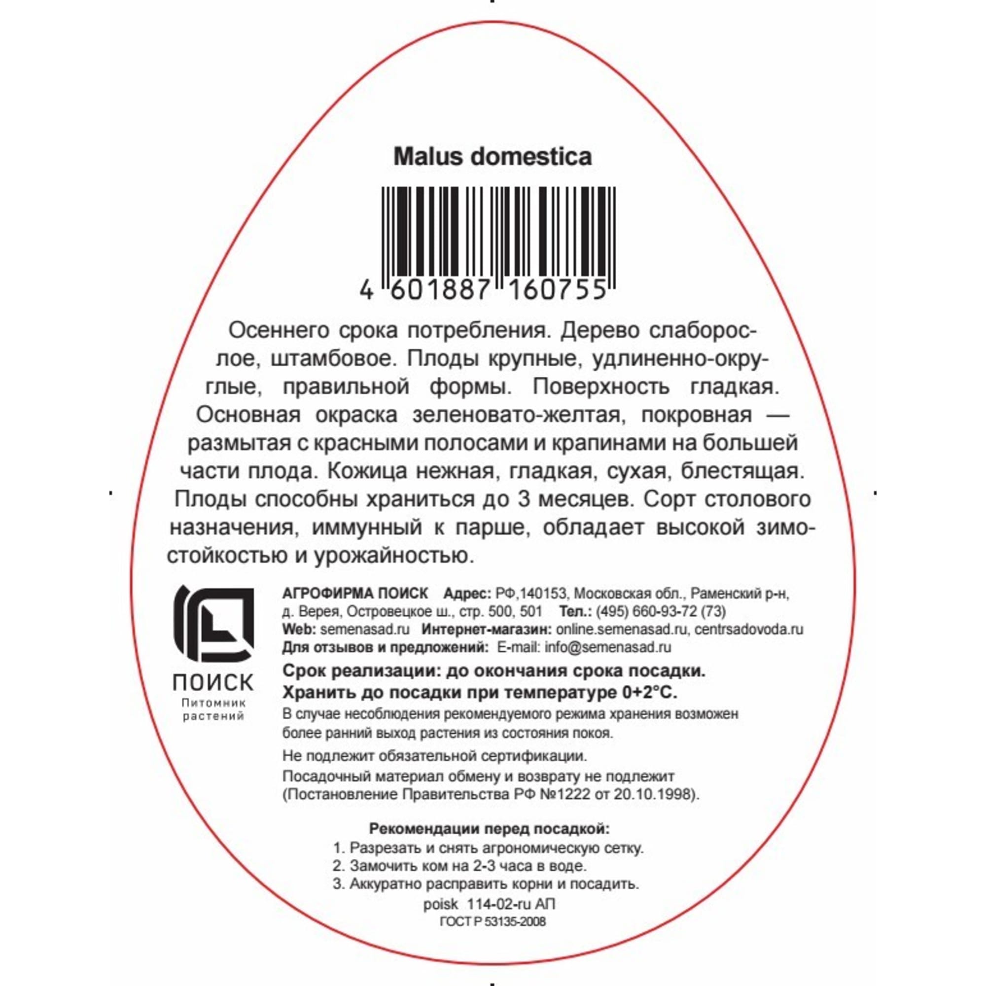 83791270 Яблоня Скала Santreyd  - Вид №1