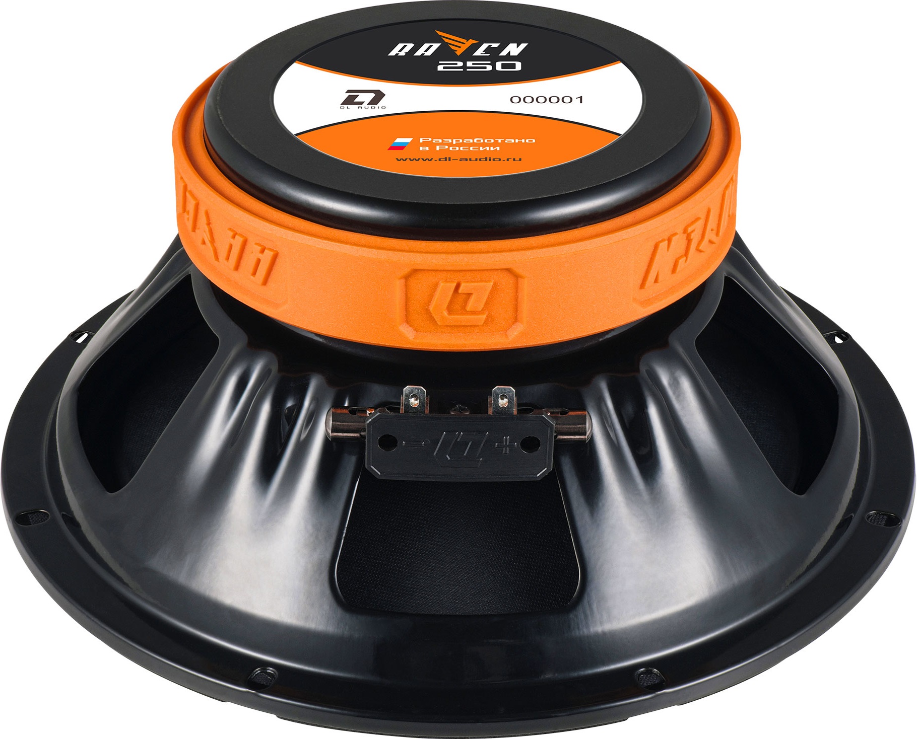 5630786 Среднечастотная акустическая система DL Audio Raven 250 v.2 STDN-0151787 - Вид №2