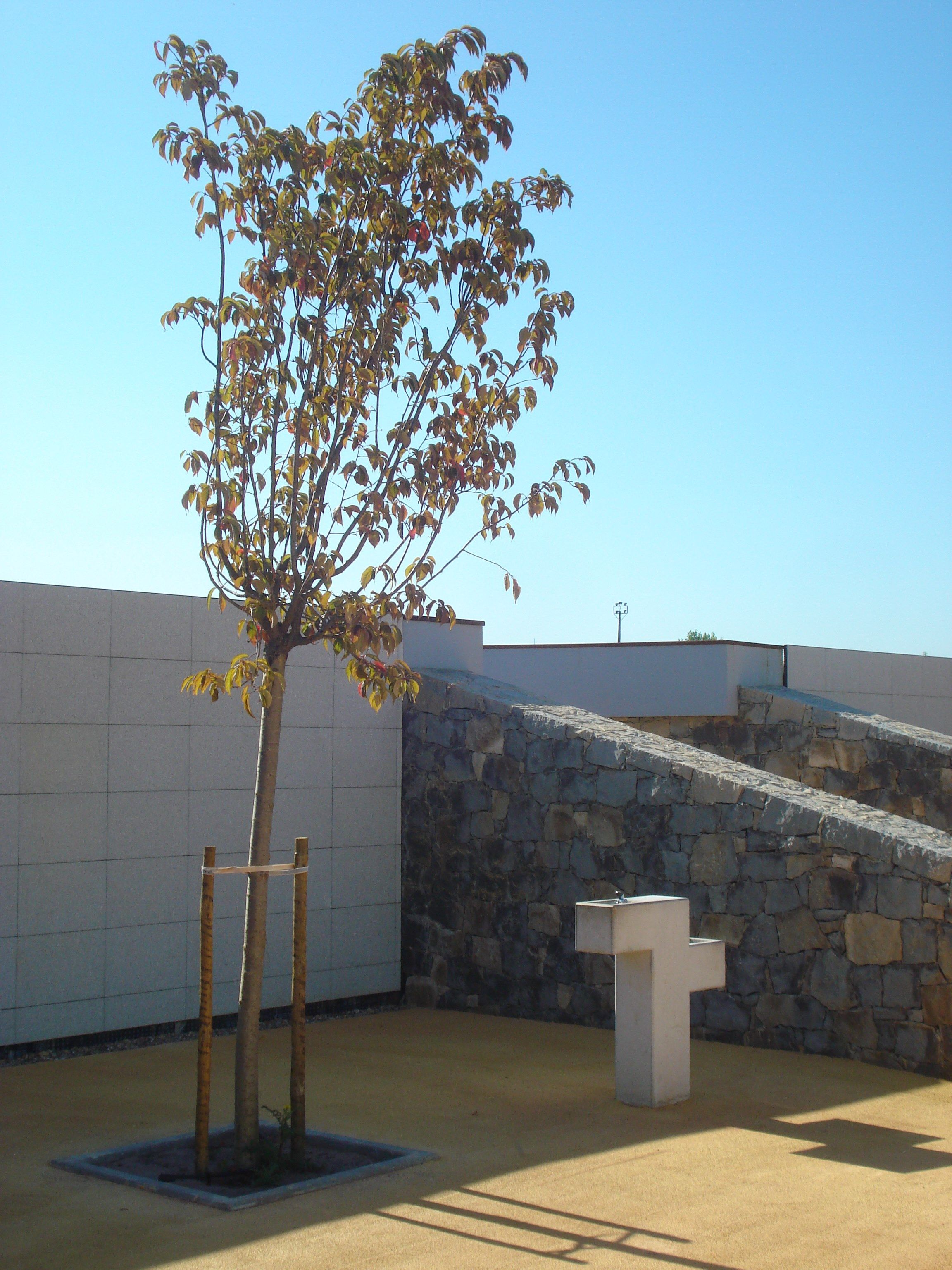 Бетонный пол фонтан SIT форма ARCH-00094429 - Вид №3