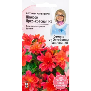 Бегония «Шансон» ярко-красная F1 6 шт.