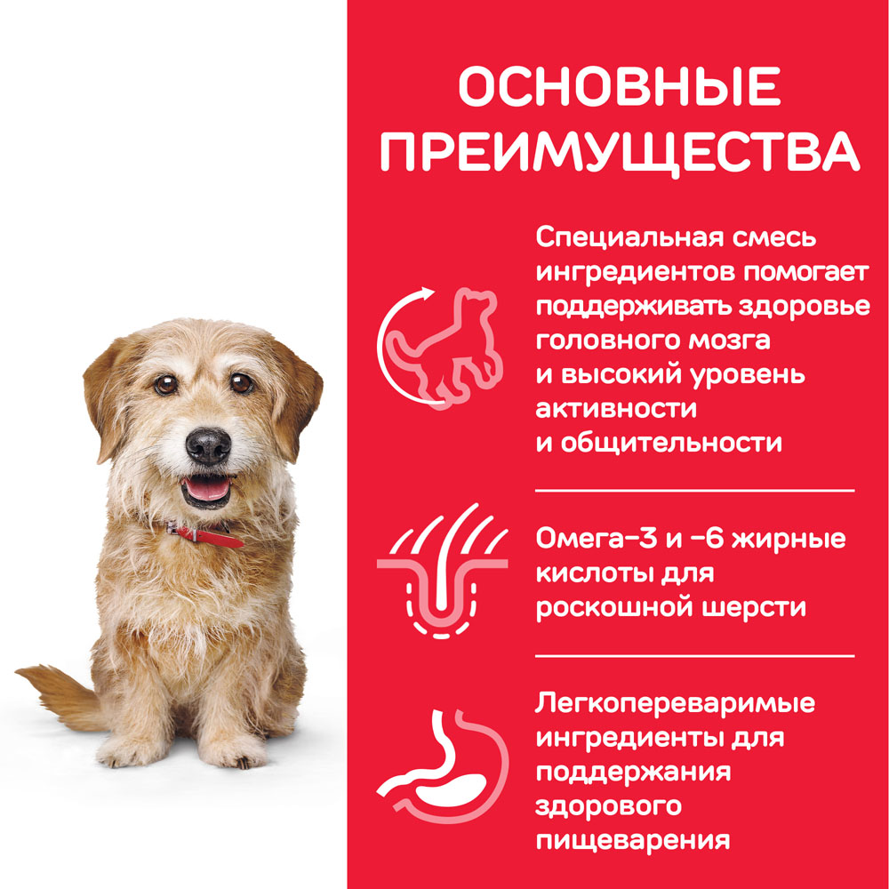 ПР0052083 Корм для собак HILL"S для мелких и миниатюрных пород от 7 лет, курица сух. 250г Hill's  - Вид №3