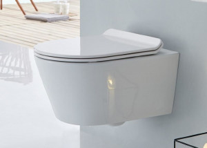 CT2040 Подвесной унитаз SSWW CT