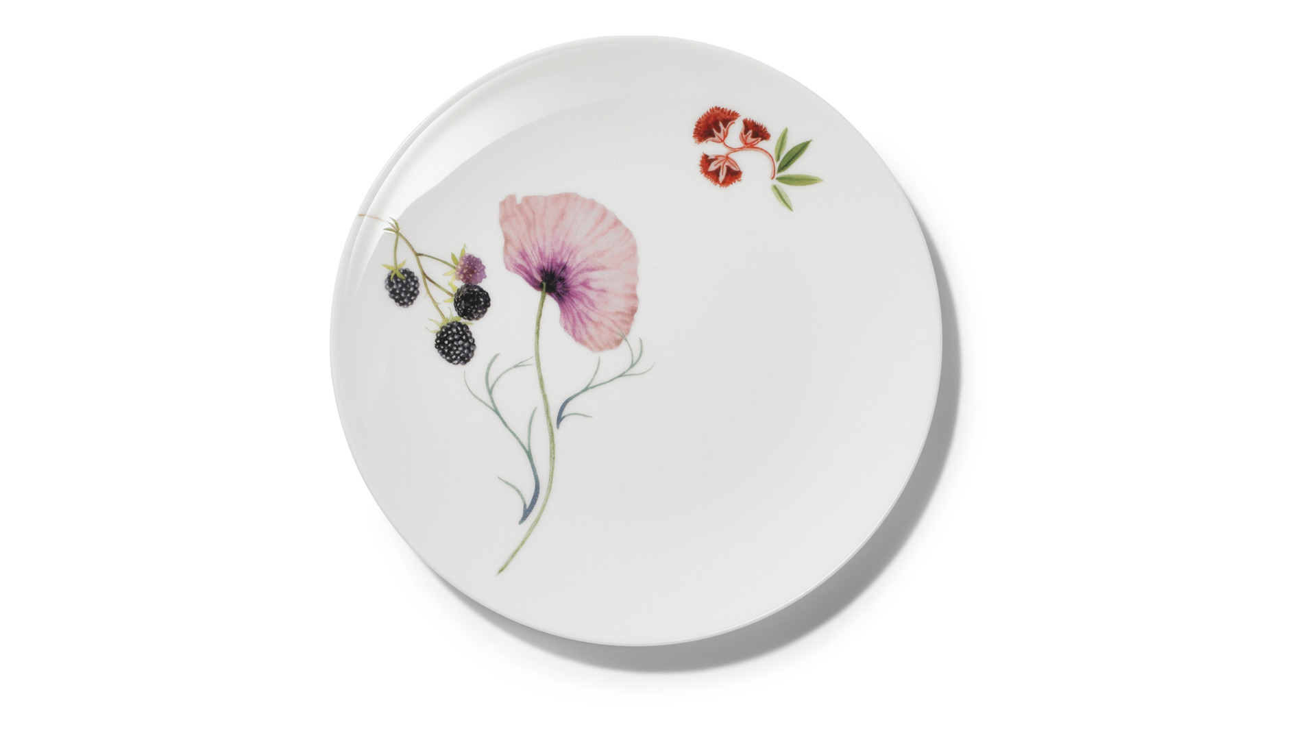 10659053 Dibbern Сервиз столовый Dibbern Страна чудес на 6 персон 20 предметов, фарфор Фарфор  - Вид №2