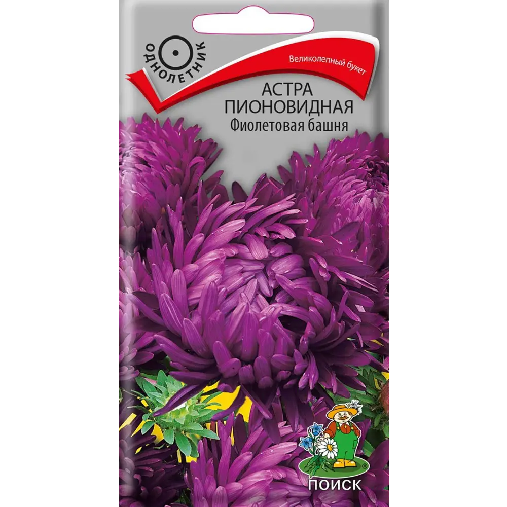 Семена цветов Поиск астра пионовидная Фиолетовая башня 86217909 STLM-2139461 