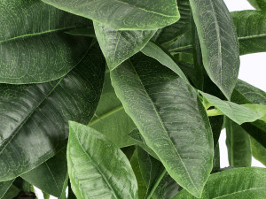 Искусственное растение