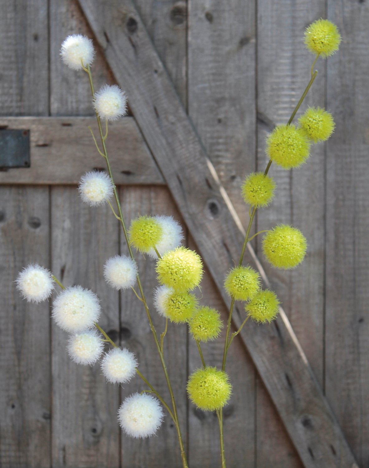 5535 883 a3 Искусственный спрей из плодов гомфокарпуса, 103 см, зеленый H-andreas  - Вид №2