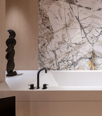 121X Раковина / Кухня vola  - Вид №48