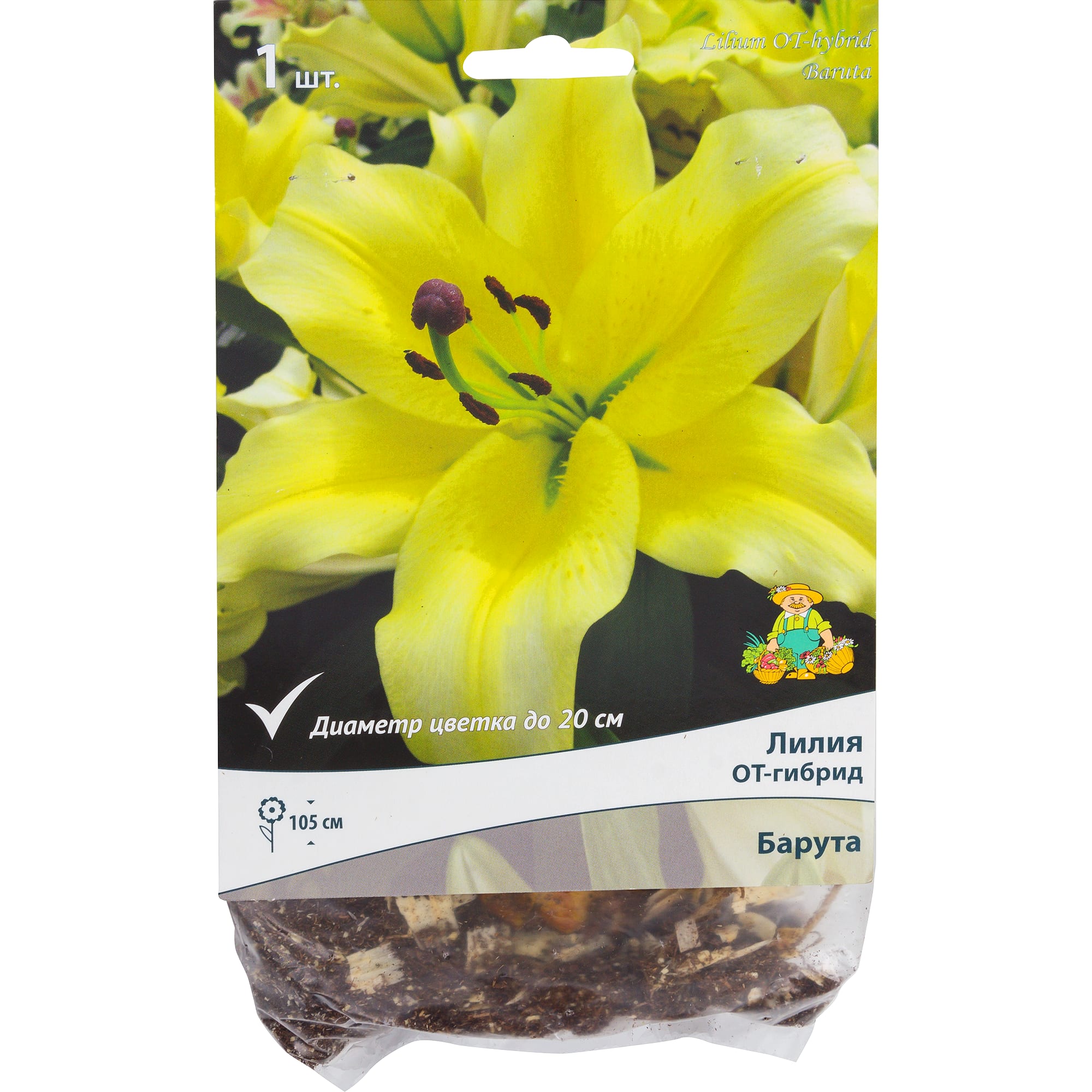 82118707 Лилии ОТ-гибриды «Барута», размер луковицы 14/16, 1 шт Santreyd 