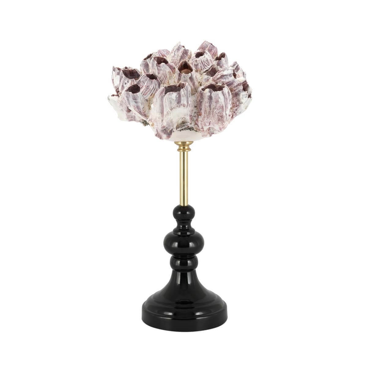 600576-00 ABHIKA СТЕНД KRIZIA FOSSIL SM NATURAL 