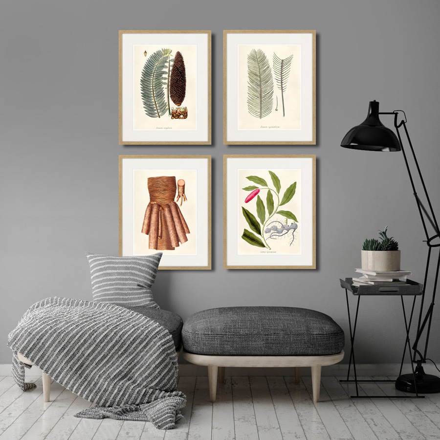 Картина в раме 52х42 см Fragmenta botanica №6, 1809г. КАРТИНЫ В КВАРТИРУ  264316 Розовый  - Вид №2