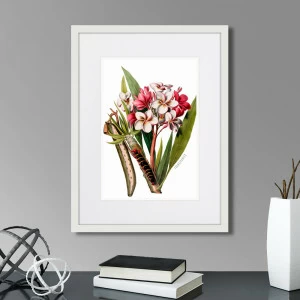 Картина: Caribian Flora Pink Plumeria Flower Branch, 1740г. КАРТИНЫ В КВАРТИРУ  264451 Разноцветный