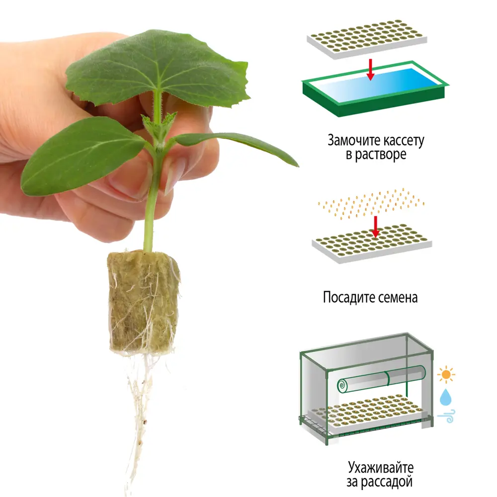 Santreyd Кассета для рассады на 60 пробок - профессиональное решение для садоводов 86222609 STLM-0067052 - Вид №3