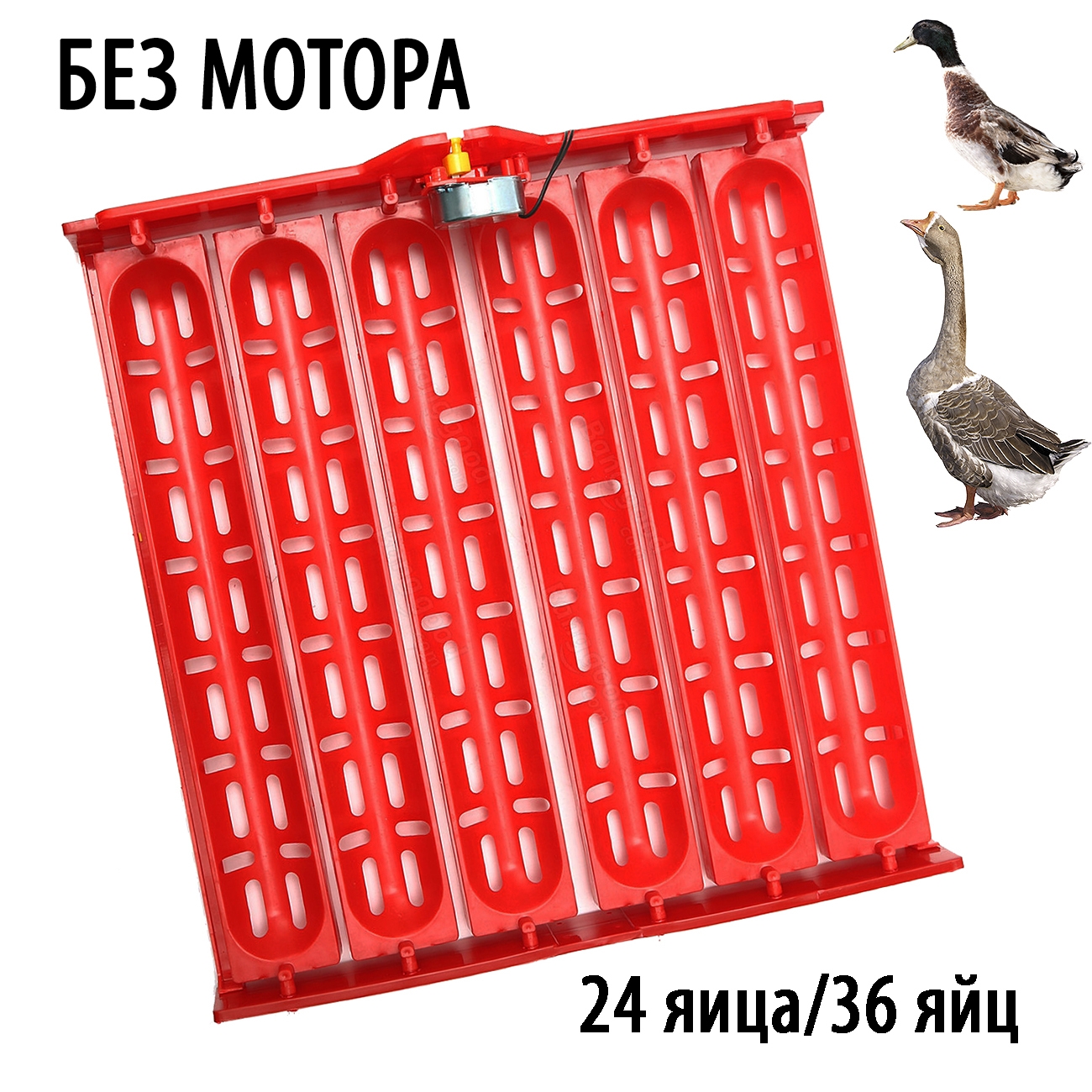 2116 Лоток для гусиных яиц в инкубатор ЛТ3 LAB.Space 