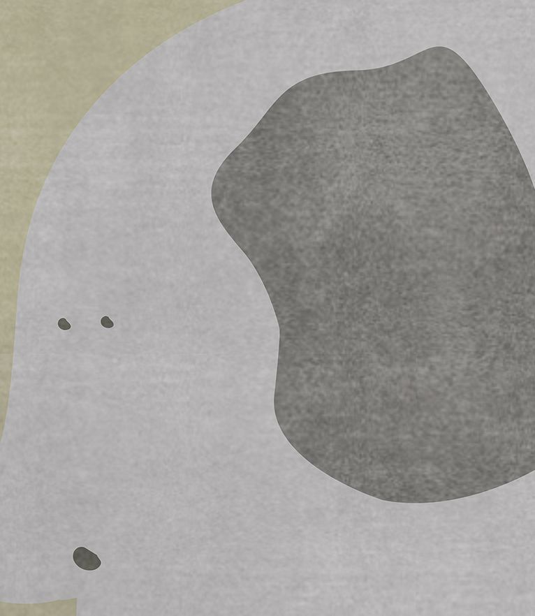 Мистер Айсеруг RUG'SOCIETY Kids 290_928 - Вид №1