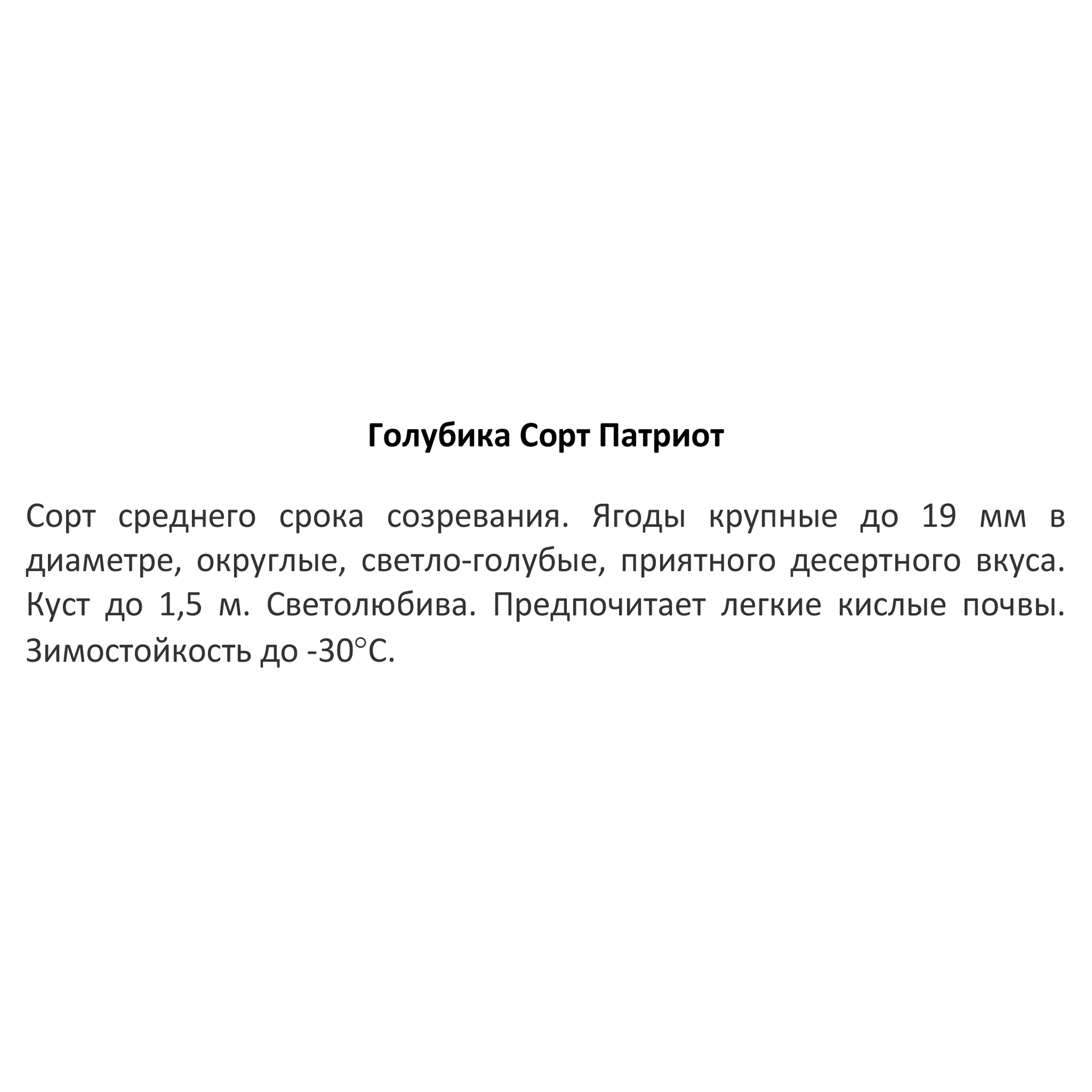 Саженец голубики Патриот в горшке 85607967 Santreyd STLM-0064574 - Вид №3