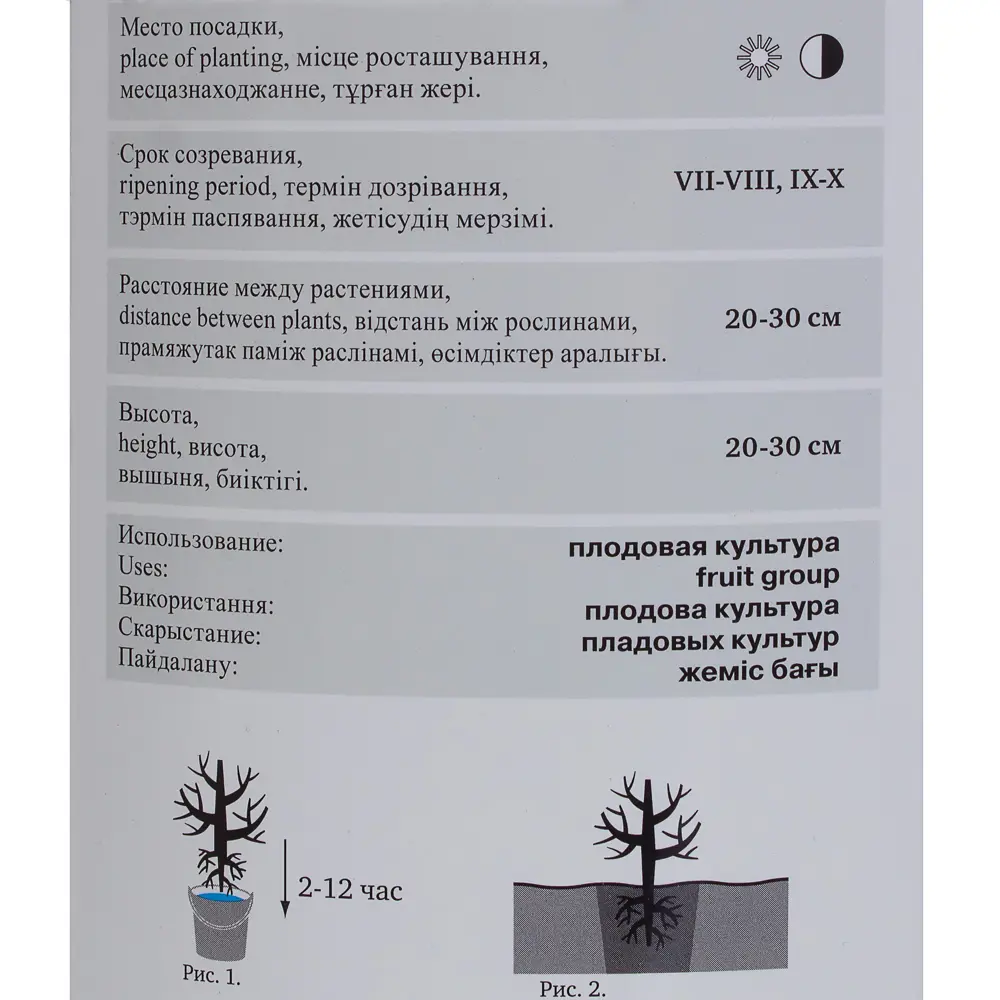 Брусника Ред Перл в тубе Поиск инвест 81951315 STLM-2020319 Santreyd  - Вид №2