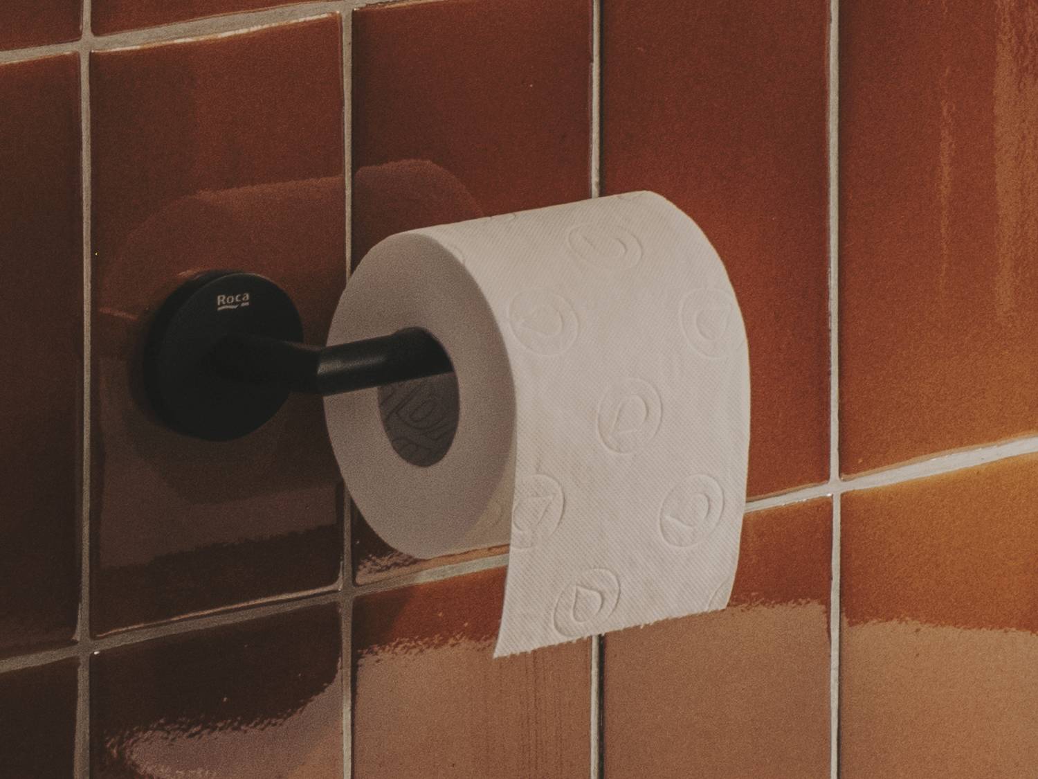 Металлический держатель рулона Roca ROUND 817582..0 ARCH-00019965 - Вид №6