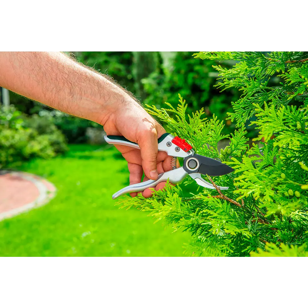 Секатор садовый Verto ø18 мм STLM-2173873 - Вид №1