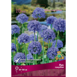 Лук Голубой луковица 4/5, 10 шт.