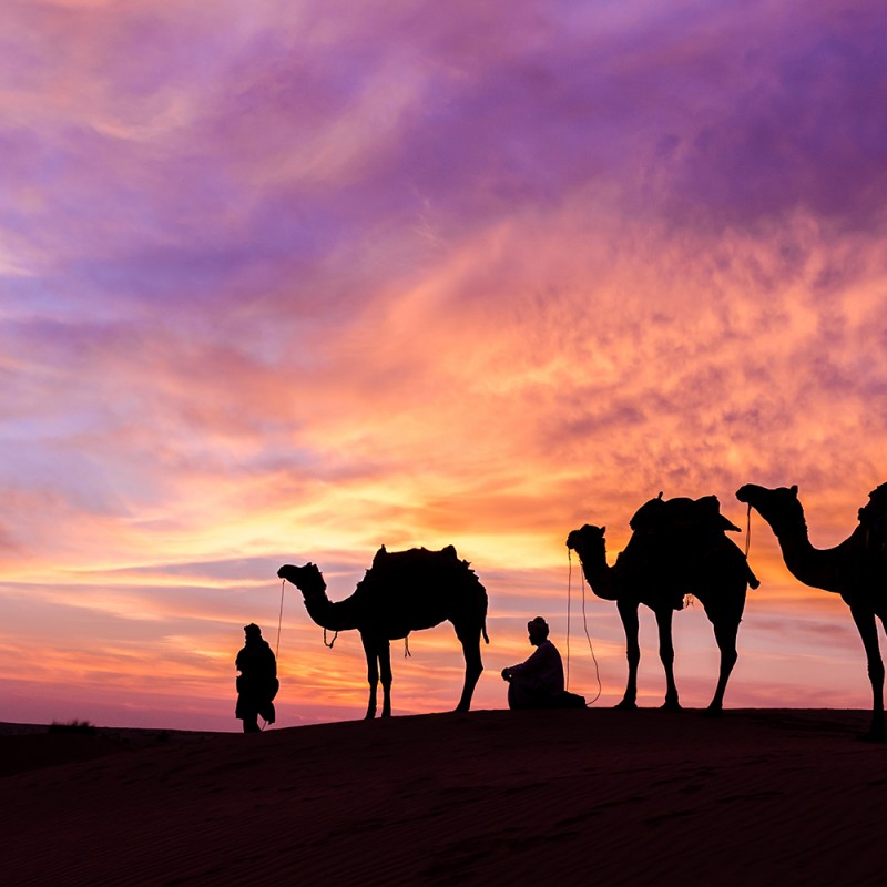 1978/CX38 Картина 1486 Adriani e Rossi 