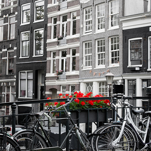 B1-014 Фотообои DIVINO Collection B 2.7х2 м B1014