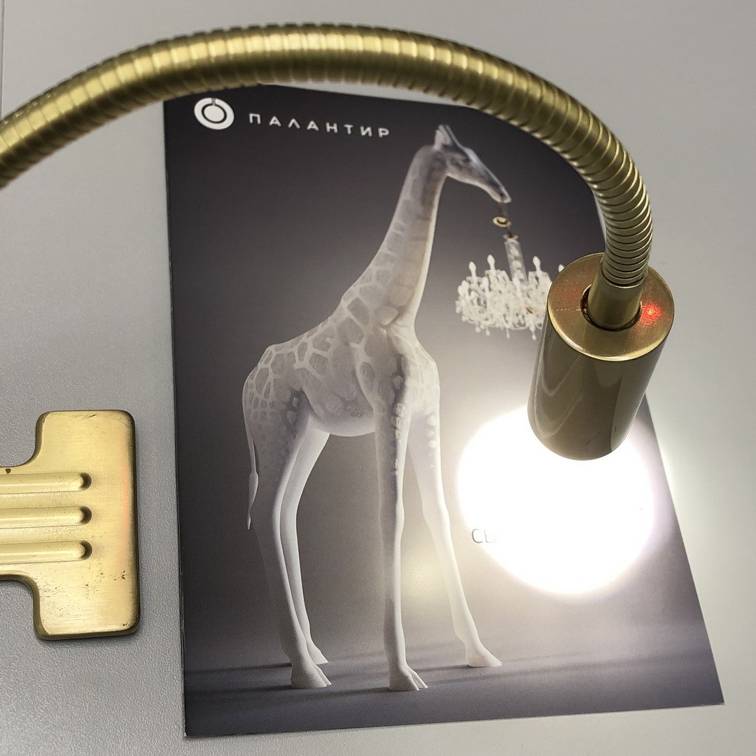 Orion WA 2-1298 MS-matt настенный Flexo 102427 - Вид №2