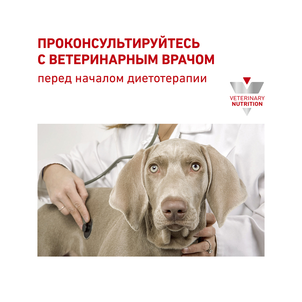 Т0023216 Корм для собак Vet Diet Urinary S/O LP18 при мочекаменной болезни сух. 2кг ROYAL CANIN  - Вид №9
