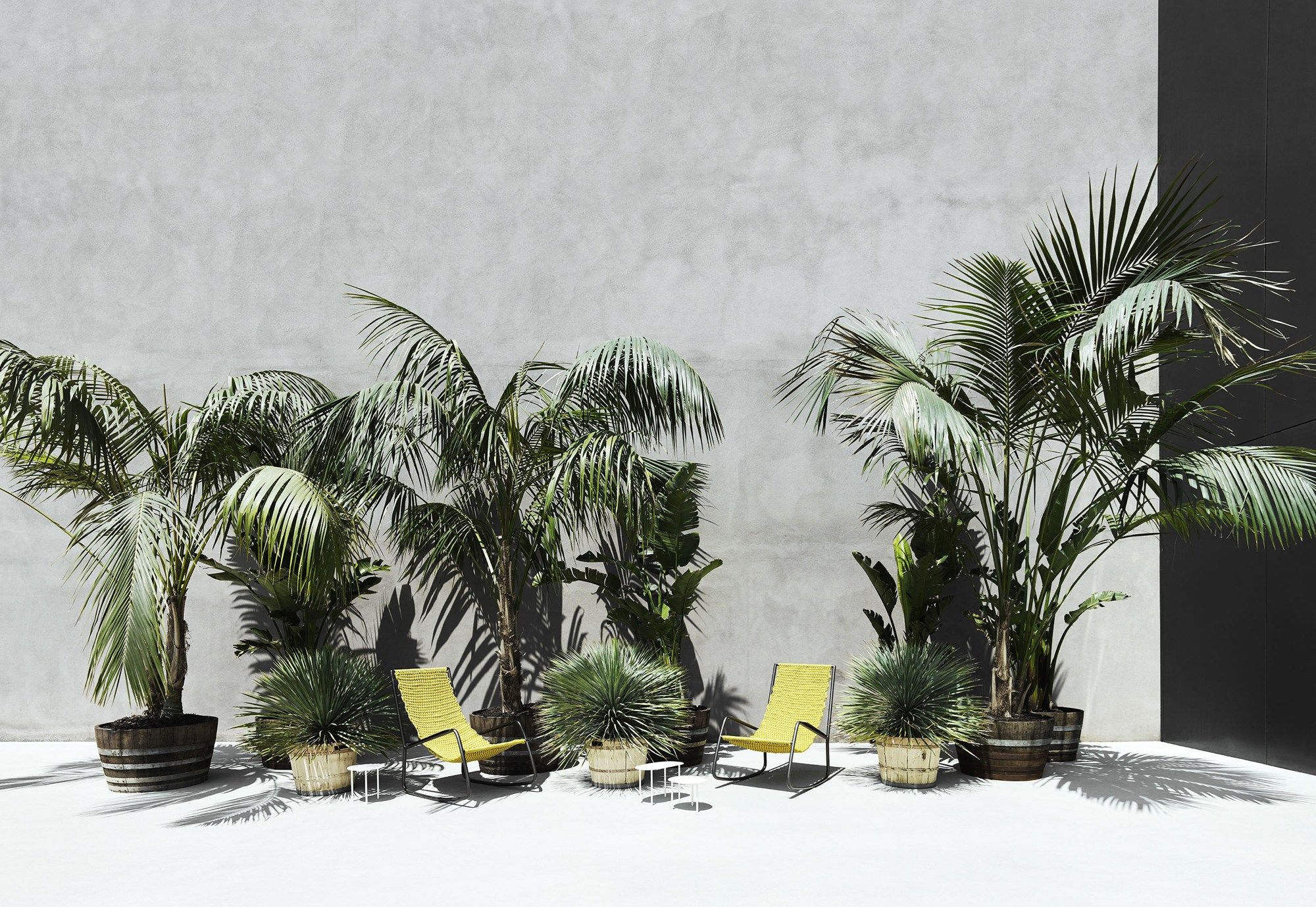 Тканевое кресло-качалка Living Divani FLOW ARCH-00017379 - Вид №2