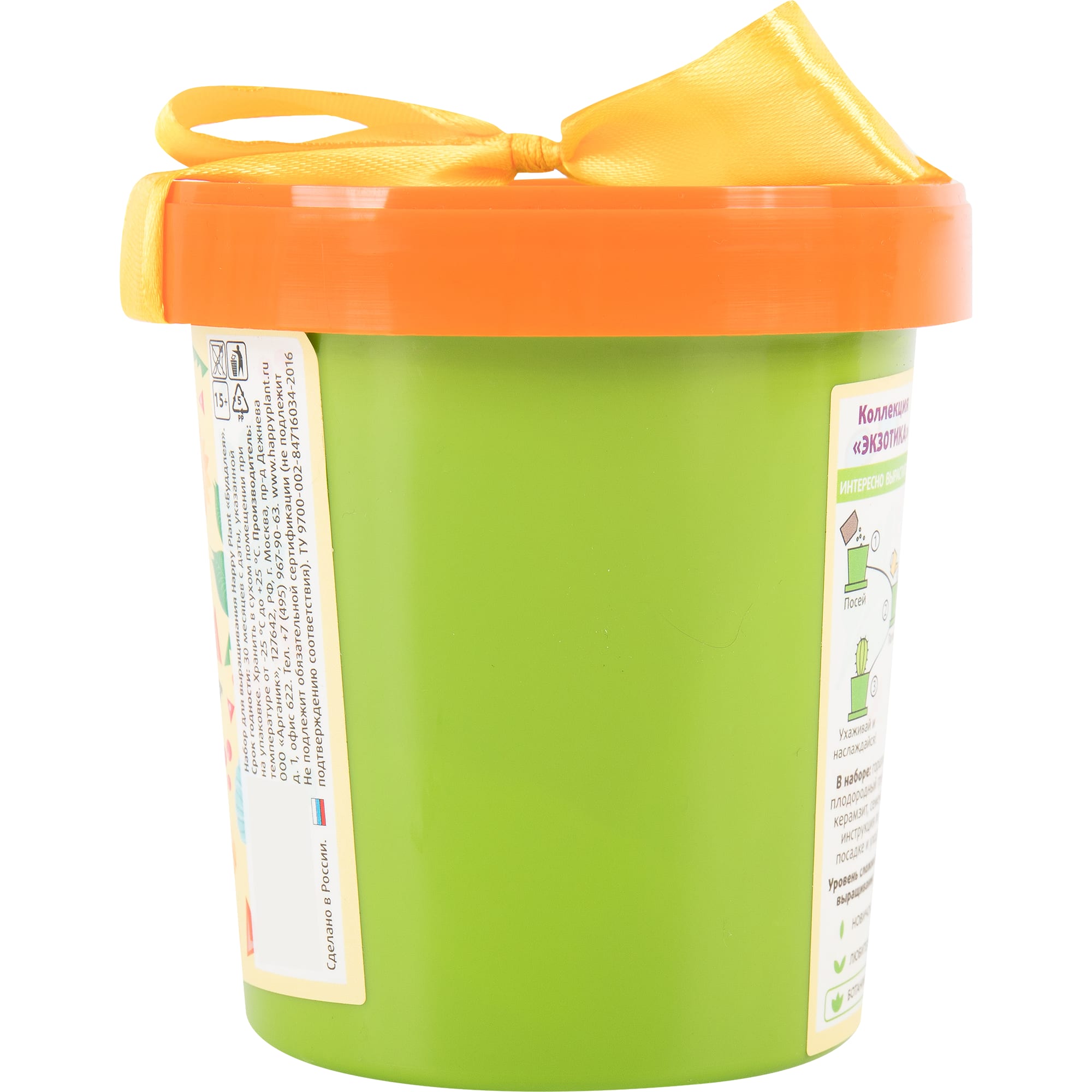 82492010 Буддлея Давида в горшке Santreyd  - Вид №1