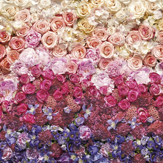 8-965-Intense Фотообои Komar Imagine Edition 2 254х368 м 8965INTENSE