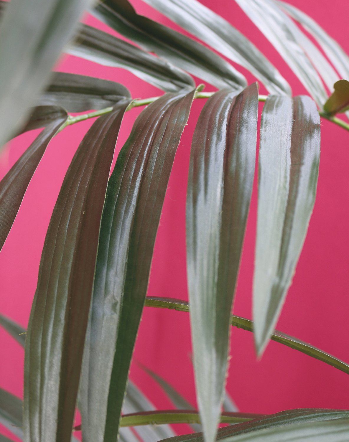 5453 883 a3 Искусственная пальма Kentia, горшечная, 270 см, зеленая H-andreas  - Вид №2